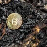 Un associé jette accidentellement à la poubelle des bitcoins d'une valeur de 744 millions d'euros