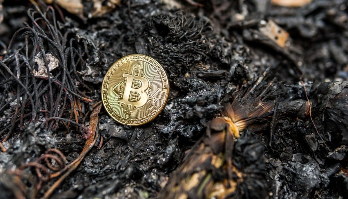 Un associé jette accidentellement à la poubelle des bitcoins d'une valeur de 744 millions d'euros