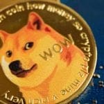 “L’Amérique veut du Bitcoin dans son trésor national, pourquoi pas du Dogecoin ?”