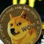 Analyse : Dogecoin peut-il atteindre 1 $ ? Quel rôle joue Elon Musk dans ce processus ?