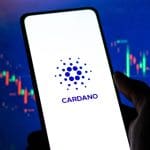 Cardano dans la réserve crypto : son fondateur n'en savait rien