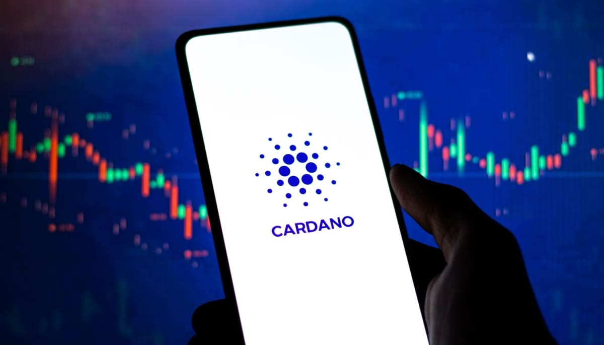 Cardano dans la réserve crypto : son fondateur n'en savait rien